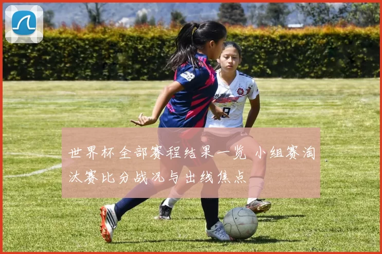 世界杯全部赛程结果一览 小组赛淘汰赛比分战况与出线焦点